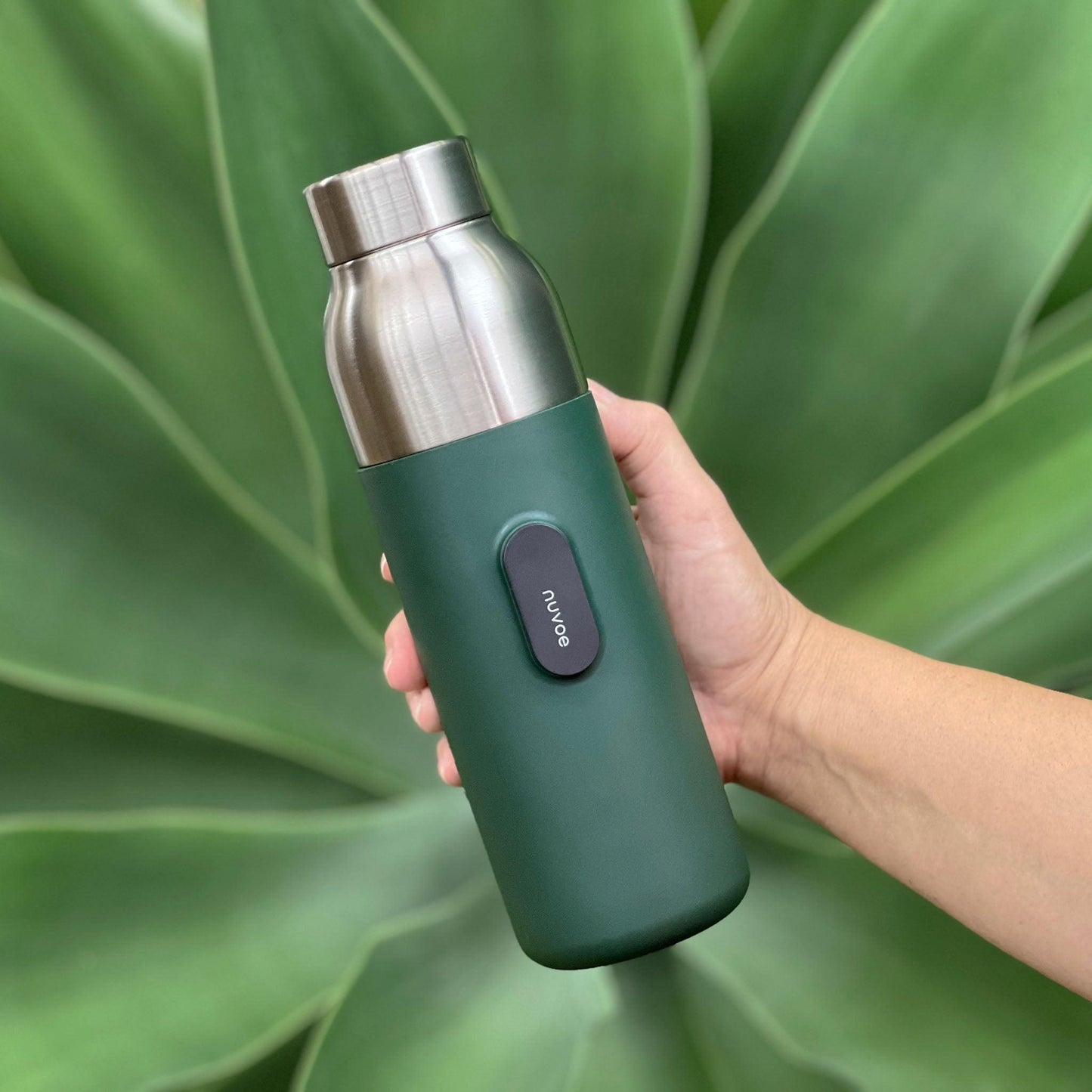 Chive Green